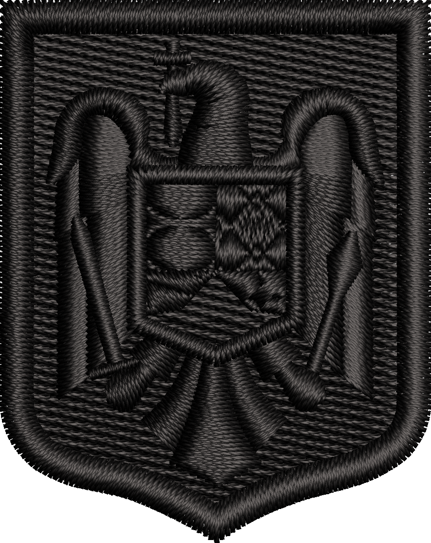 EMBLEMA COIFURA AVIATIE ( CUC AVIATIE ) NEGRU